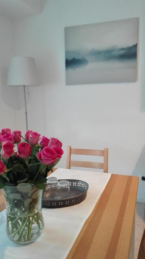 Ferienwohnungen Op Der Kees Irsch Buitenkant foto